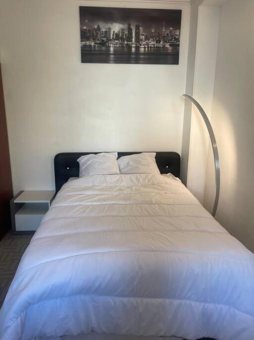 Appartement Croix Rousse 69004 Lyon Ngoại thất bức ảnh